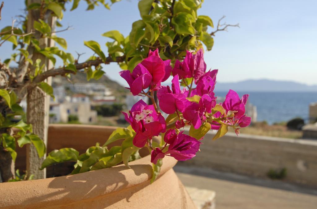 Pantonia Apartments Agia Pelagia  Zimmer foto